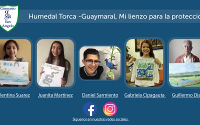 CONCURSO DE ARTE ECOLÓGICO