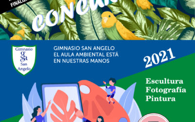 CONCURSO DE ARTE AMBIENTAL