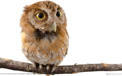 Calendario Ambiental