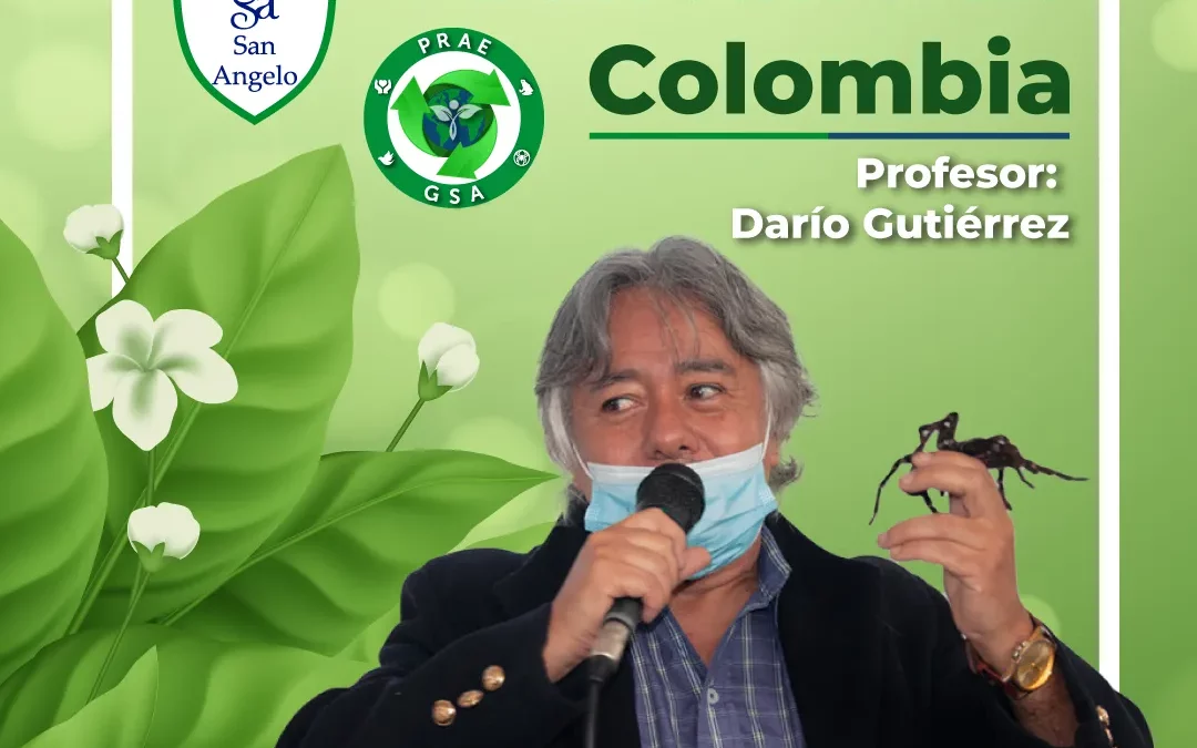 Actividad GSAmbiental Araneario de Colombia