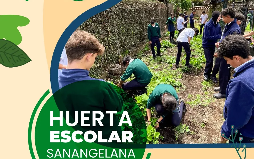 Huerta escolar sanangelana